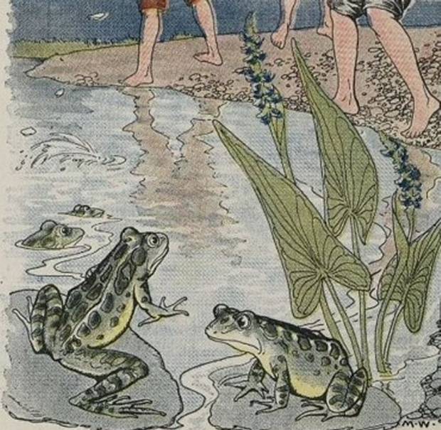 Aesop's Fables - The Boys And The Frogs By Milo Winter