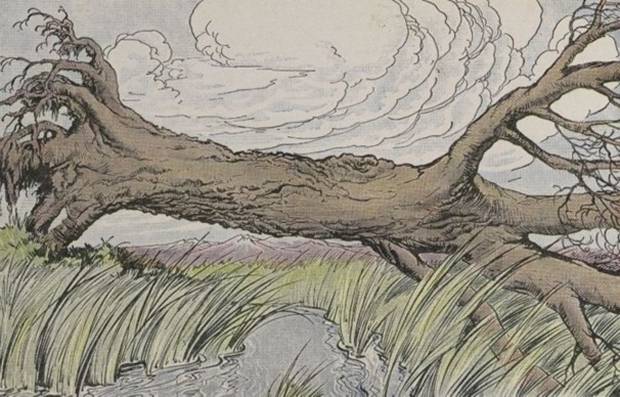 Aesop's Fables - The Oak And Reeds By Milo Winter