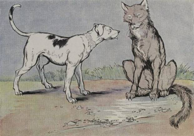 Aesop's Fables - The Wolf And The House Dog By Milo Winter