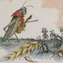 Thumbnail For The Ants And The Grasshopper