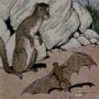 Thumbnail For The Bat And The Weasels An Aesop Fable