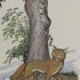 Thumbnail For The Cat And The Fox An Aesop Fable