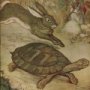Thumbnail For The Hare And The Tortoise