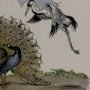 Thumbnail For The Peacock And The Crane