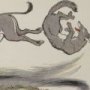 Thumbnail For The Wolf And The Ass An Aesop Fable