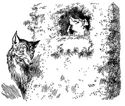 Classic Fairy Tale - Illustration For The Three Little Pigs By Leonard Leslie Brooke