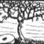 Thumbnail For The Almond Tree