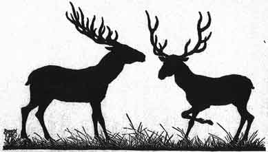 Illustration For The Banyan Deer - A Jataka Tale