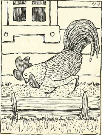 Russian Folk Tale - Illustration For The Cock And The Bean