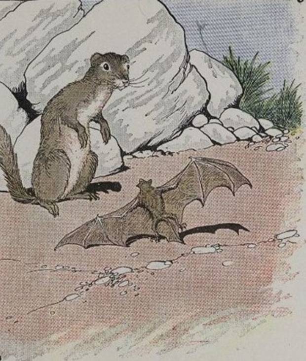 Aesop's Fables - The Bat And The Weasels By Milo Winter