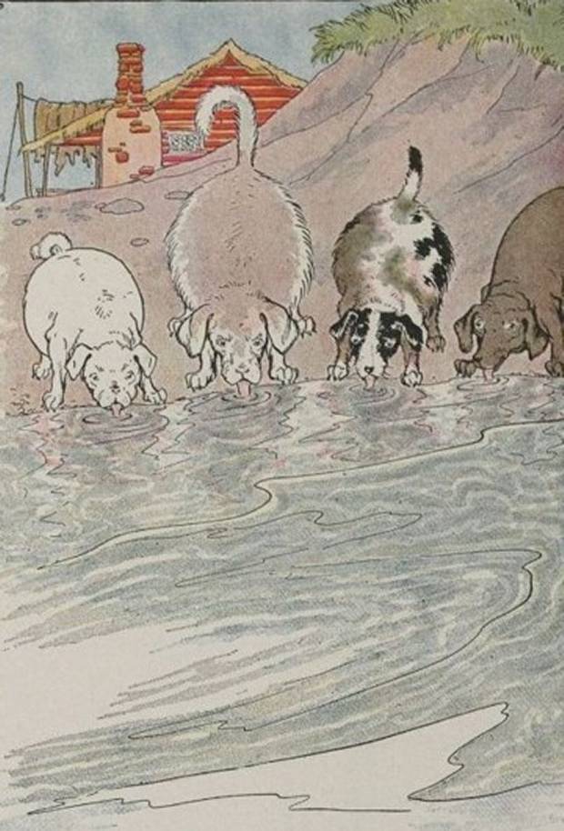 Aesop's Fables - The Dogs And The Hides By Milo Winter