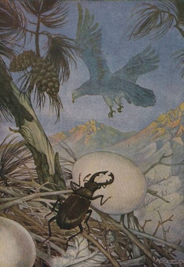 Aesop's Fables - The Eagle And The Beetle By Milo Winter