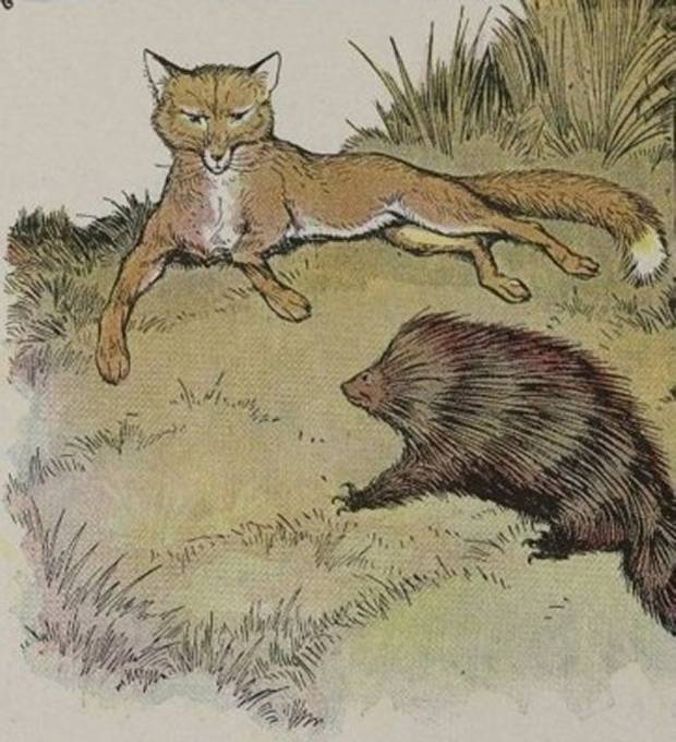 Aesop's Fables - The Fox And The Hedgehog By Milo Winter