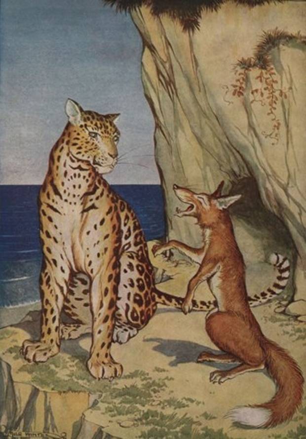 Aesop's Fables - The Fox And The Leopard By Milo Winter