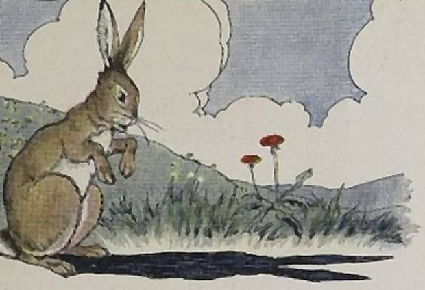 Aesop's Fables - The Hare And His Ears By Milo Winter