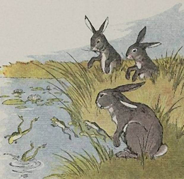 Aesop's Fables - The Hares And The Frogs By Milo Winter