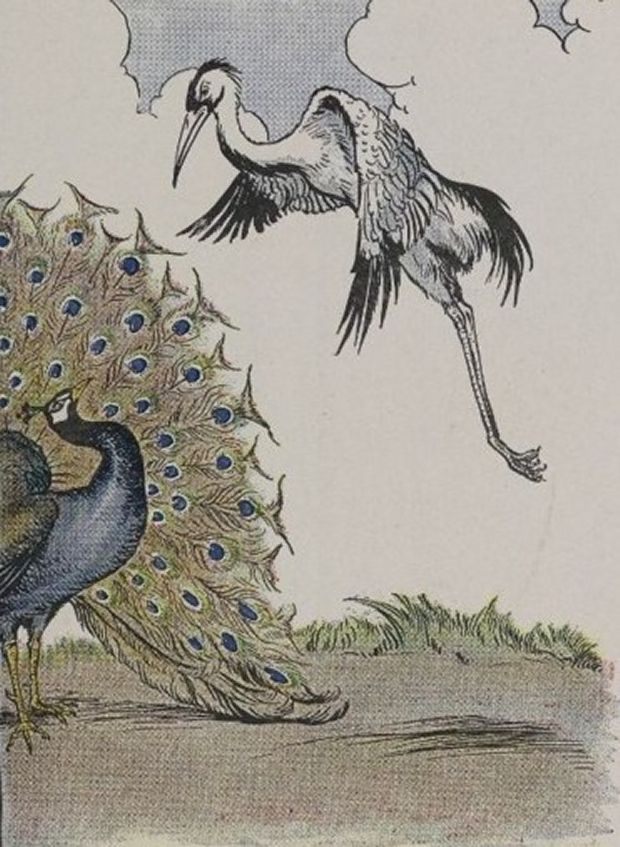 Aesop's Fables - The Peacock And The Crane By Milo Winter