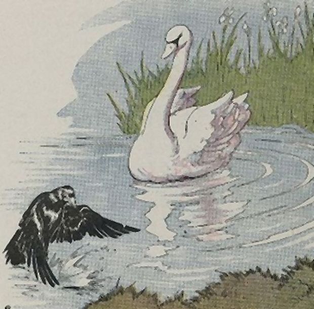Aesop's Fables - The Raven And A Swan By Milo Winter