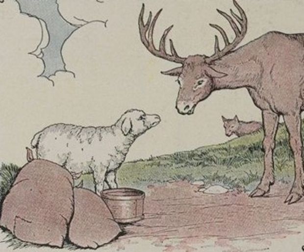 Aesop's Fables - The Stag, The Sheep And The Wolf By Milo Winter