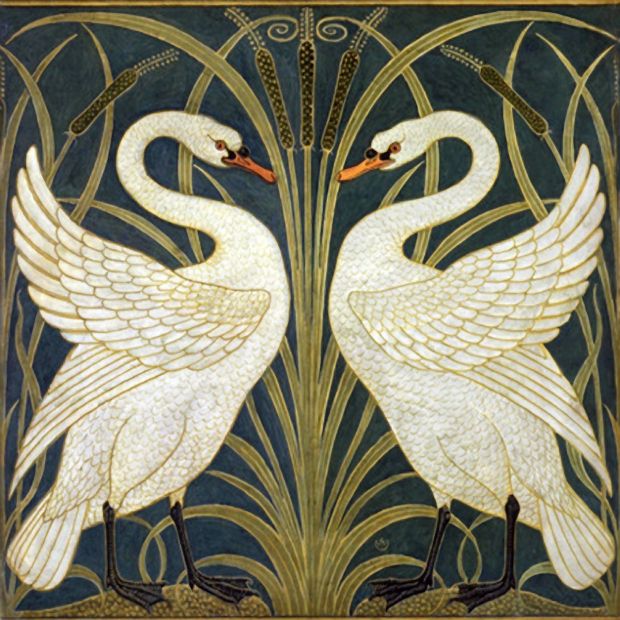 Decorative Swans By Walter Crane