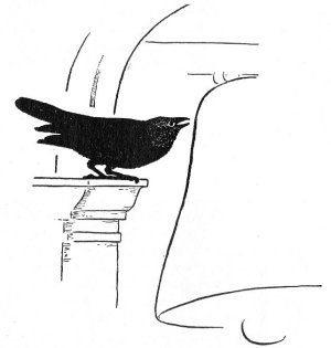 Illustration For The Raven Of The Giralda - A Spanish Folk Tale