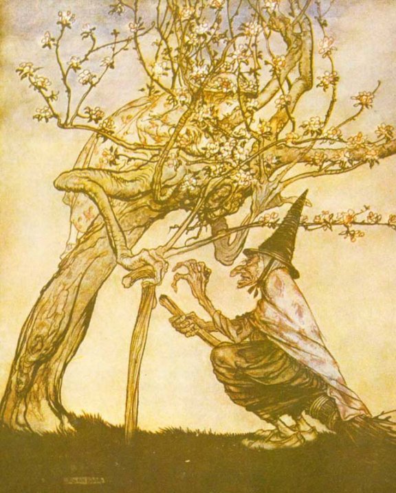 English Fairy Tale - Illustration For The Two Sisters by Arthur Rackham