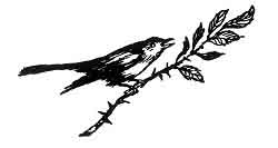 Folk Tale From Britanny - Decoration For Little White-Thorn And The Talking Bird